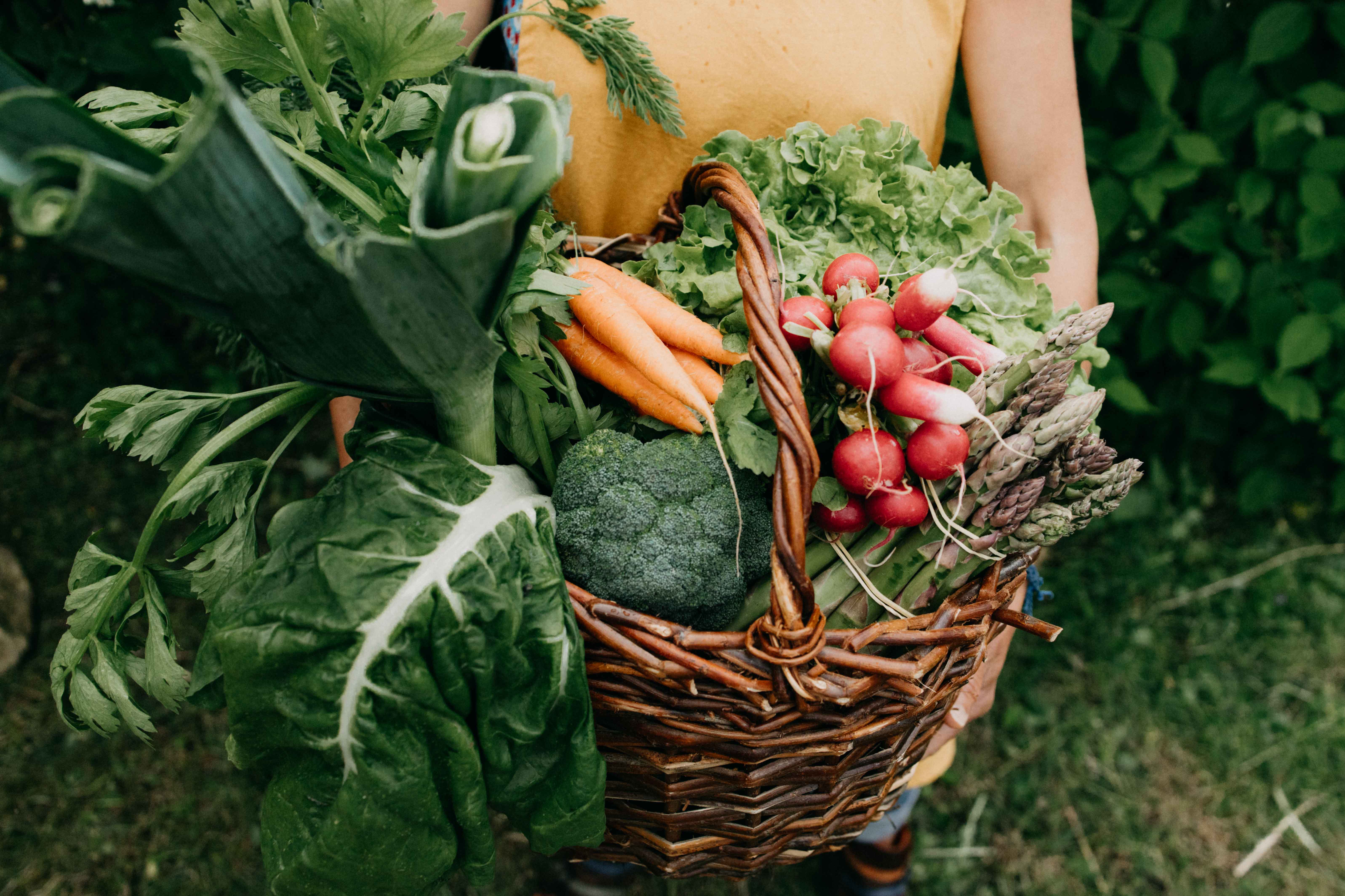 Panier de fruits et légumes